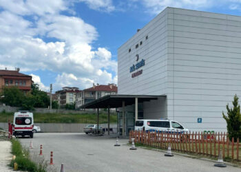 Kastamonu'da orman işçisi, arı sokması sonucu öldü