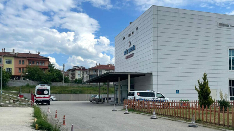 Kastamonu'da orman işçisi, arı sokması sonucu öldü
