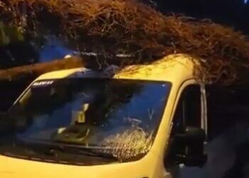 Kadıköy’de öğrenci almak için bekleyen servis minibüsünün üzerine ağaç devrildi