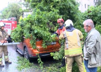 Kadıköy’de park halindeki otomobilin üzerine ağaç devrildi