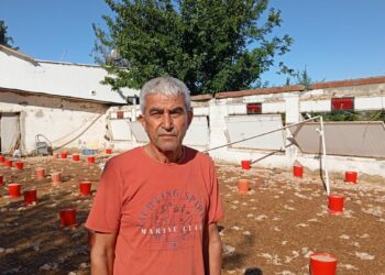 Adana'da hortumda zarar gören çiftliklerdeki 20 bin civciv öldü