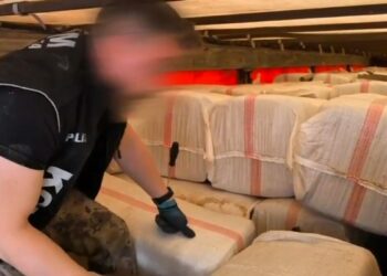 TIR'daki saman çuvallarından kaçak sigara ve telefon çıktı