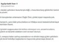 AK Parti'li İnan: Sen asil duruşlardan anlamazsın Özgür Özel