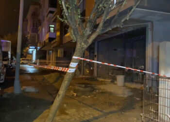 Küçükçekmece'de elektrik akımına kapılan köpek öldü, sahibi yaralandı
