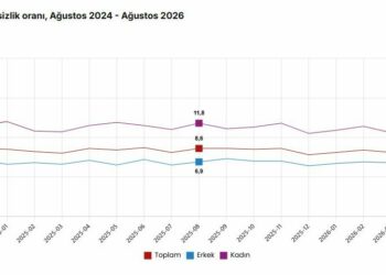 TÜİK: İşsizlik oranı yüzde 0,3 azaldı