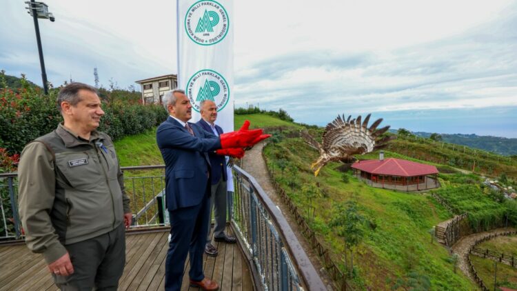 Rize'de tedavisi tamamlanan arı şahinleri çip takılarak doğaya salındı