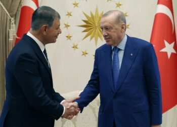 Cumhurbaşkanı Erdoğan, Cemil Tugay'ı kabul etti