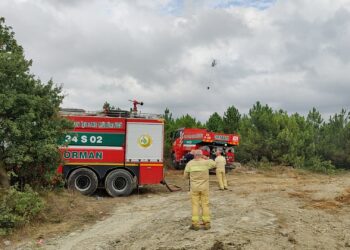 Arnavutköy'de ormanda yangın -1