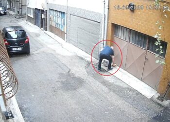 Kedilerin mama kaplarını çöpe atıp, sularını döken baba-oğul kamerada