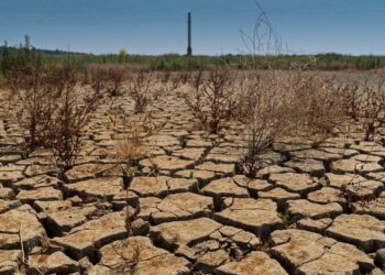 İklim alarmı: 2050’nin sıcaklıklarını 25 yıl erken yaşamaya başladık