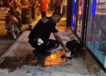 Sokak köpeğini av tüfeğiyle yaralayan şüpheli gözaltına alındı