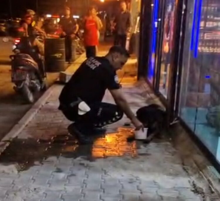 Sokak köpeğini av tüfeğiyle yaralayan şüpheli gözaltına alındı