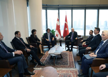 Cumhurbaşkanı Erdoğan, Gürcistan Başbakanı Kobakhidze ile görüştü