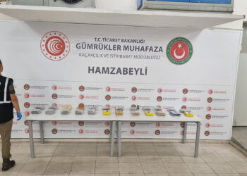 Ülkeye zehir sokmak istemişler: Edirne'de gümrük kapılarında 147 kilo esrar ve 27 kilo kokain ele geçirildi