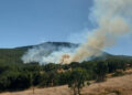 Eskişehir’de orman yangını: Havadan ve karadan müdahale ediliyor