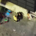 Beyoğlu'nda asayiş denetimi; fuhuş pazarlığı dronla tespit edildi