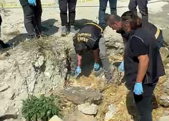 Kayıp olarak aranan Ayşegül'ün cesedi, 24 gün sonra ormanda gömülü hâlde bulundu