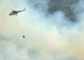 Aydın'da orman yangını: Havadan ve karadan müdahale ediliyor