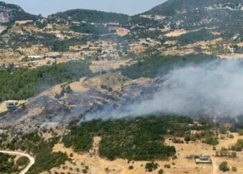Antalya Kepez'de orman yangını: Söndürme çalışmaları başladı