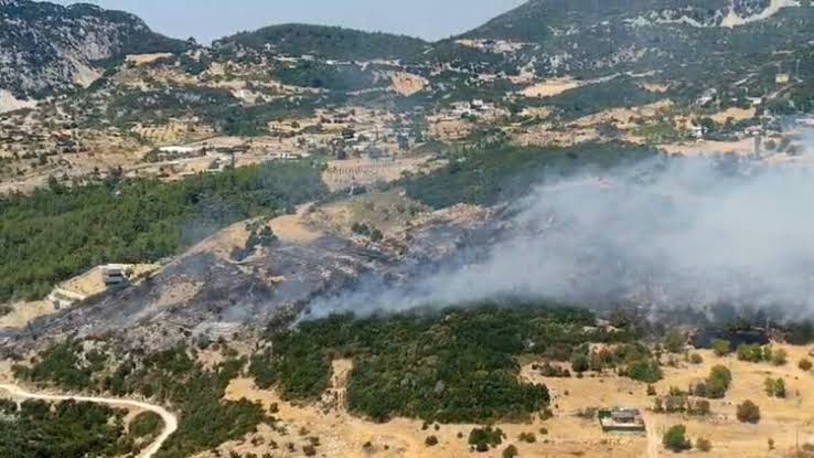 Antalya Kepez'de orman yangını: Söndürme çalışmaları başladı
