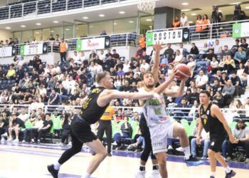 Aliağa Petkimspor yenilgisinin ardından: Yukatel Denizli Basket dersler çıkaracak