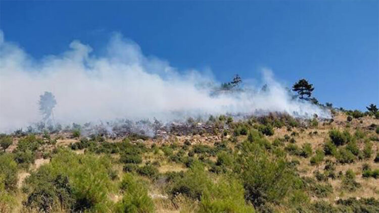 OGM: 4 yangın kontrol altına alındı, 2 bölgede müdahale sürüyor