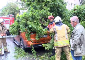 Kadıköy’de park hâlindeki otomobilin üzerine ağaç devrildi: Yaralanan yok, araçta hasar var