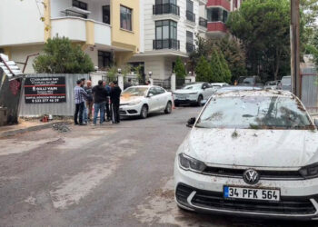 Maltepe’de mala geldi, cana gelmedi: Kesilen ağaç 2 otomobilin üzerine devrildi