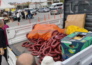 Yöresel ürün fuarında bozulmuş ürün tespit edildi: 230 kilo sucuk ve 150 kilo peynire el konuldu