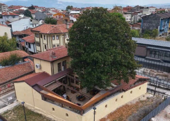 Kökleri 3 asra, hatırası Zeki Müren’e uzanan manolya ağacının altında vefa nöbeti