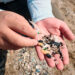 Akdeniz’de mikroplastik tehdidi artıyor, turizm faaliyetlerini de etkileyebilir