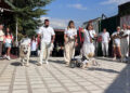 Ankara'da yüzleri gülümseten etkinlik: 19 köpek sahiplendirilmek için podyuma çıktı