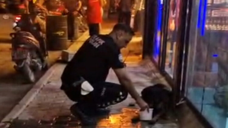 Sokak köpeğini av tüfeğiyle yaralayan şüpheli gözaltına alındı