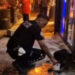 Sokak köpeğini av tüfeğiyle yaralayan şüpheli gözaltına alındı