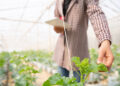 Yapay Zekâ ile tarım: Türkiye’de Precision Farming uygulamaları
