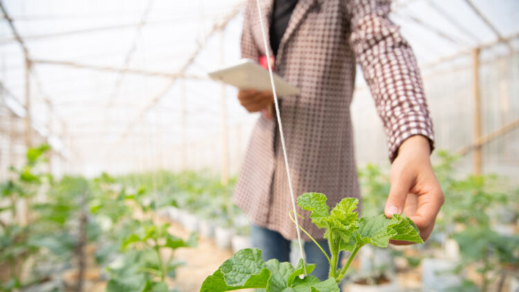 Yapay Zekâ ile tarım: Türkiye’de Precision Farming uygulamaları