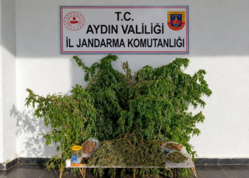 Evinde 3 kilo esrar ile yakalandı