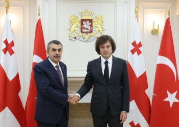Bakan Tekin, Gürcistan Başbakanı Kobakhidze ile görüştü