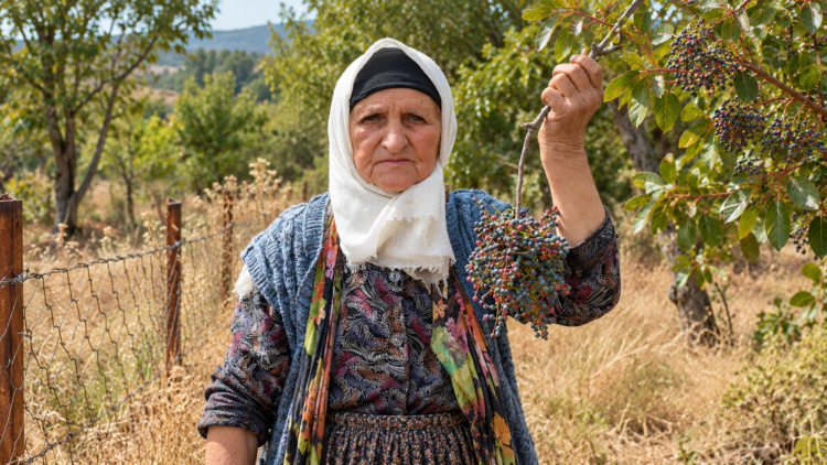 Annesiyle başladığı çitlembik mesaisini 78 yaşında sürdürüyor