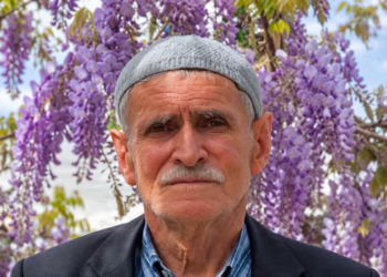 Ceviz ağacından düşüp öldü