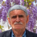 Ceviz ağacından düşüp öldü