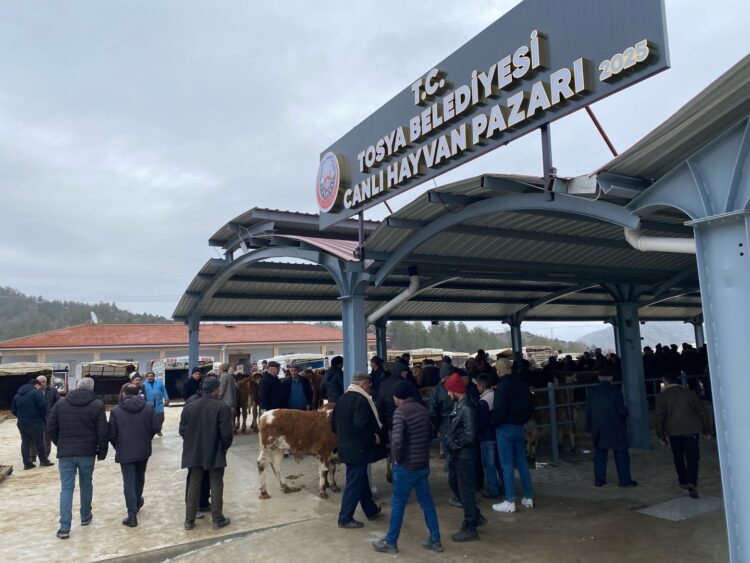 Kastamonu’da şap hastalığı alarmı! Tosya Canlı Hayvan Pazarı kapatıldı