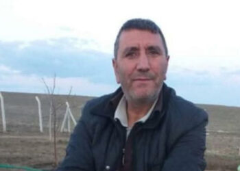 Aksaray'da korkunç kaza: Kesilen ağacın altında kalıp yaşamını yitirdi