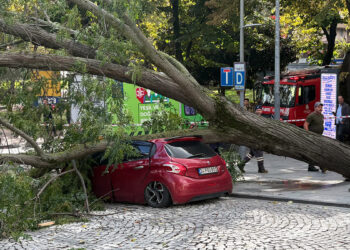 Şişli'de ağaç, park hâlindeki otomobilin üzerine devrildi: Araçta hasar oluştu