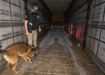 Bulgaristan’dan Türkiye’ye giriş yapan TIR'da 84 kilogram uyuşturucu ele geçirildi