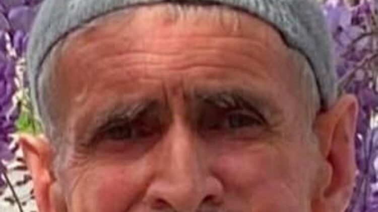 Ceviz ağacından düşüp öldü