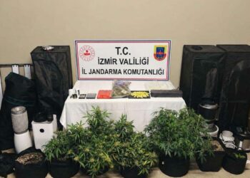 Evinde uyuşturucu ile yakalanıp, gözaltına alındı
