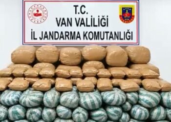 Van'da 517 kilo uyuşturucu madde ele geçirildi: 1 gözaltı