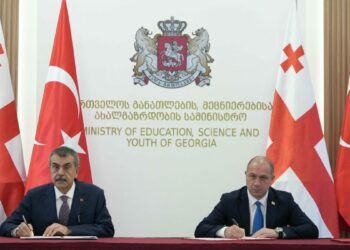 Bakan Tekin, Gürcü mevkidaşı ile bir araya geldi