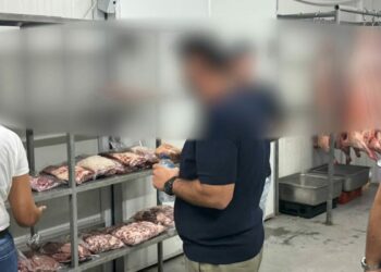 81 ilde gıda güvenliği operasyonları; 73 şüpheliye işlem yapıldı
